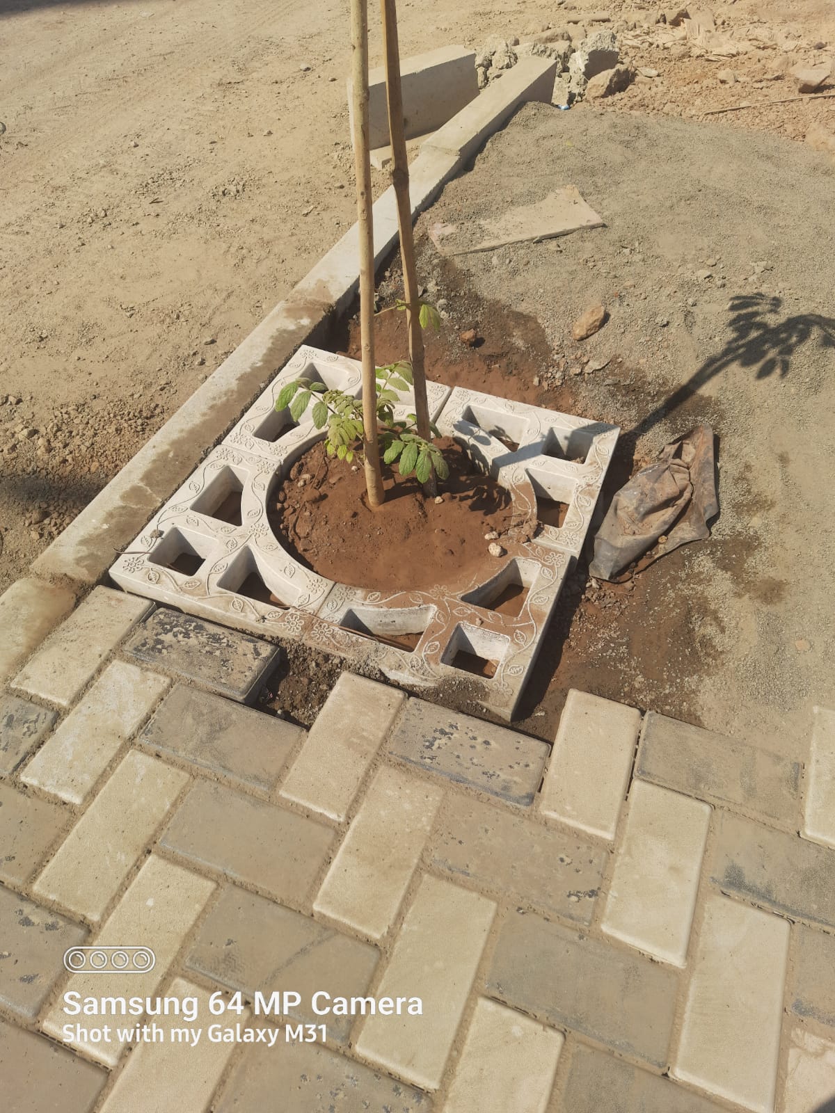 Precast Concrete Tree Grating